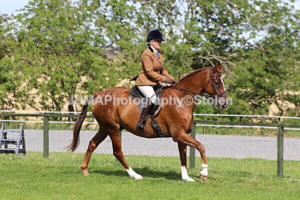 SIAL6967 - Ring 1 & 3