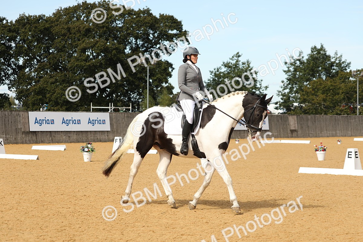 SBM_22223 - D17 - Grand Tour Championship - Novice 27