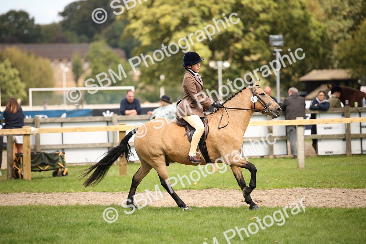 SBM_42340 - S13 - Pony Club Pony