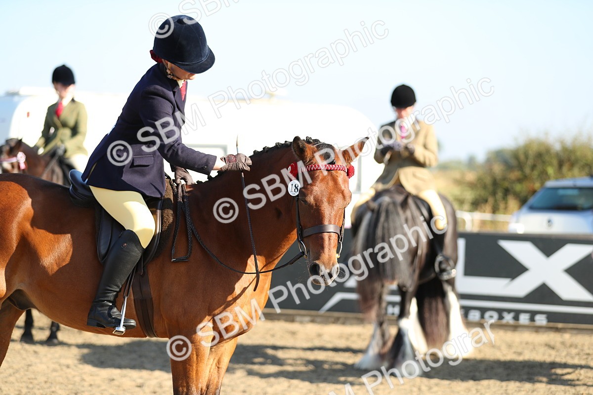 SBM_00438 - Class 41 Best Turned Out Ridden