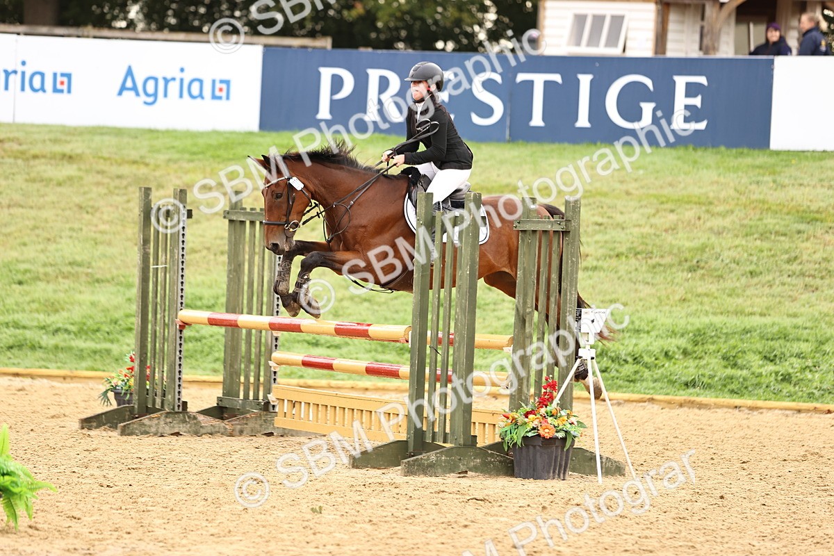 SBM_58314 - J41 - Grand Tour Horse & Pony 95cm