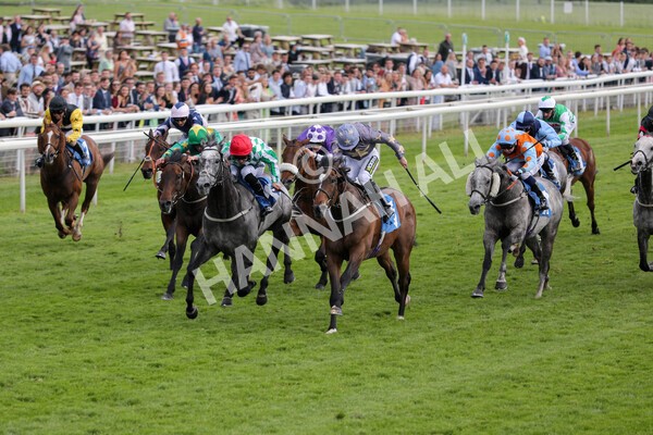 yr11062021r6-19 - Race 6 4.35pm Irish Thoroughbred Marketing Stakes