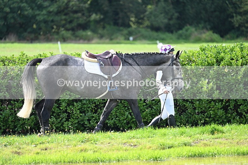 WJ7_2020 - Time 13:17 to 13:53