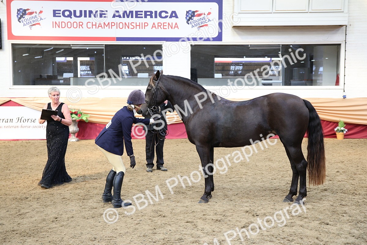SBM_24766 - Class 906 - Supreme Final - Ridden Pre Vet