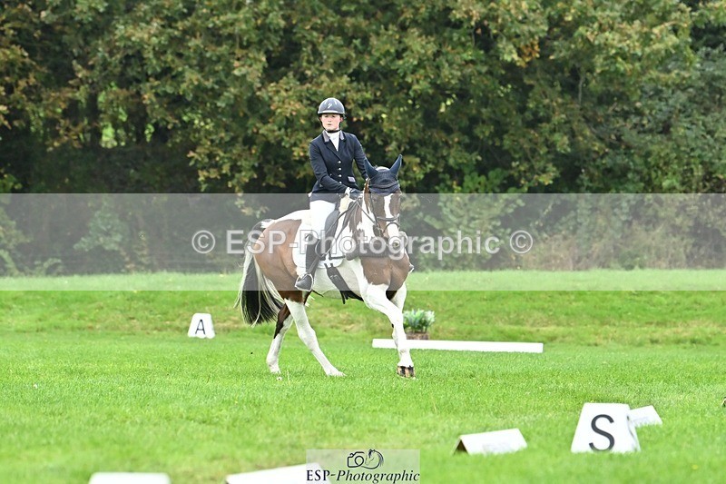 241024-135908-04268 - 331-Amber.Williams-COSMIC.MIKADO