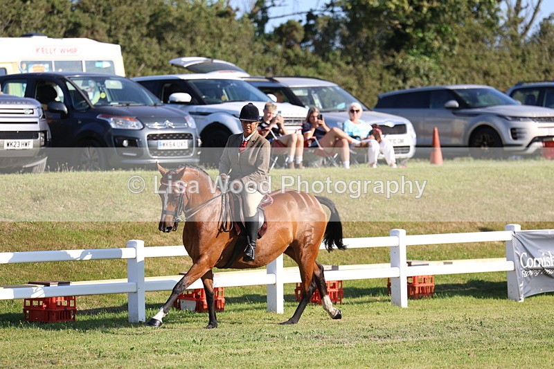3E7A5040 - Class 1: Rising Star Small Hack/Riding Horses