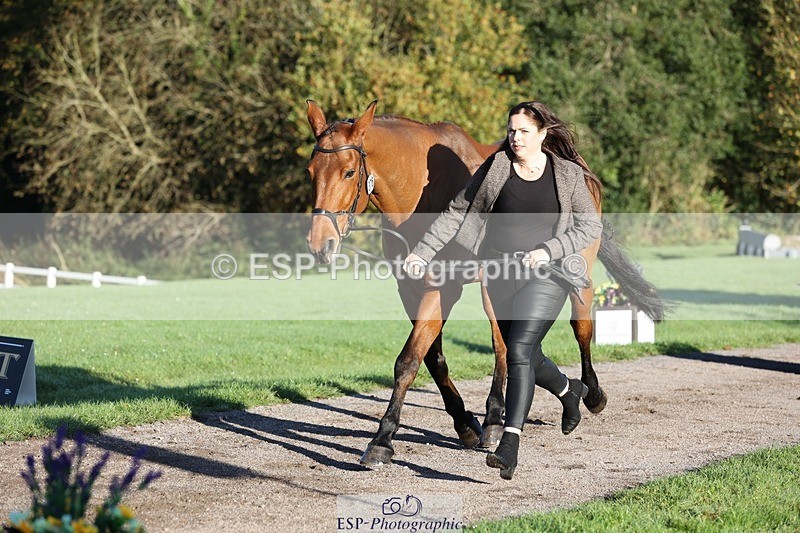 241027-085238-14869 - 376-Rachael.Hardman-WHIPPLETREE.HAILEYS.COMET