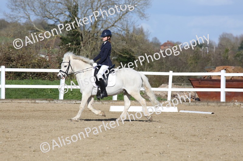 20260314-5274 - DR6 - Novice 2