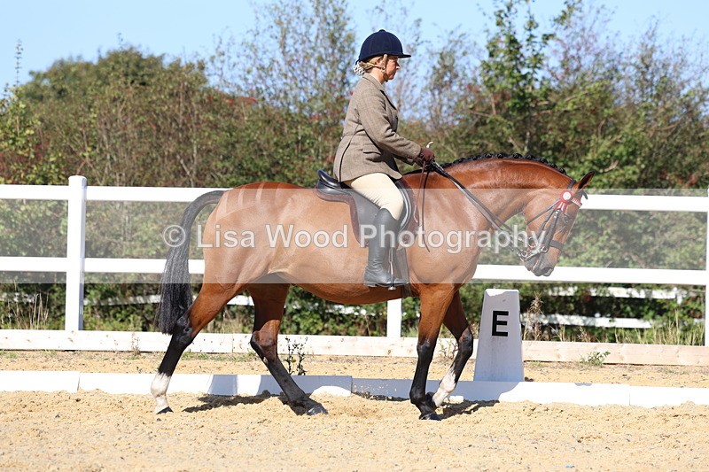 3E7A5661 - Class 10: Riding Horse