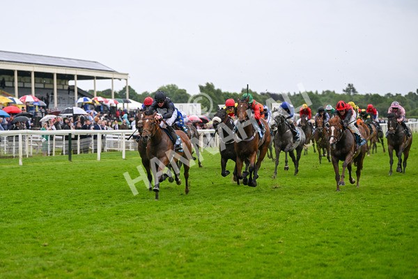 150624-Race 7-Holkham Bay-8183 - Race 7 5.25pm Fordy Marshall Land And Property Consultants Handicap