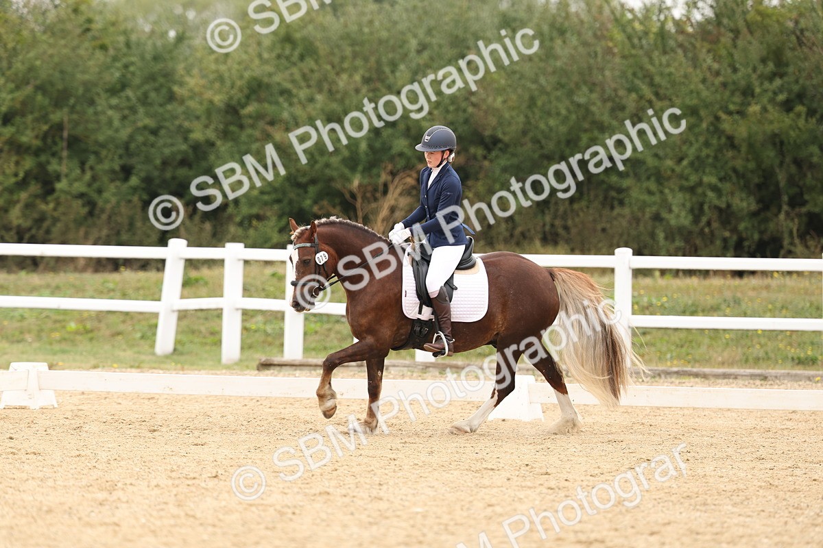 SBM_01053 - Class 8 - Novice 27 Champs