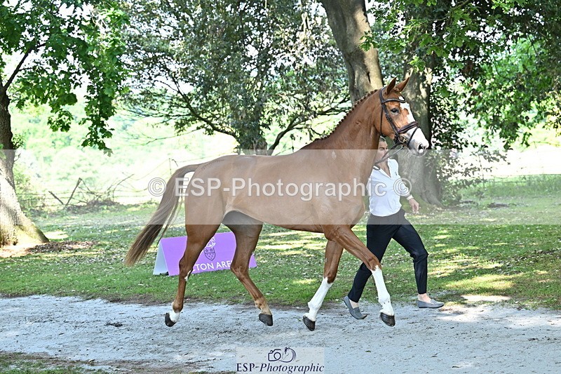 250521A-160230-00878 - C-227-Jonelle.Price-I.LIKE.IT.DE.ROHAN