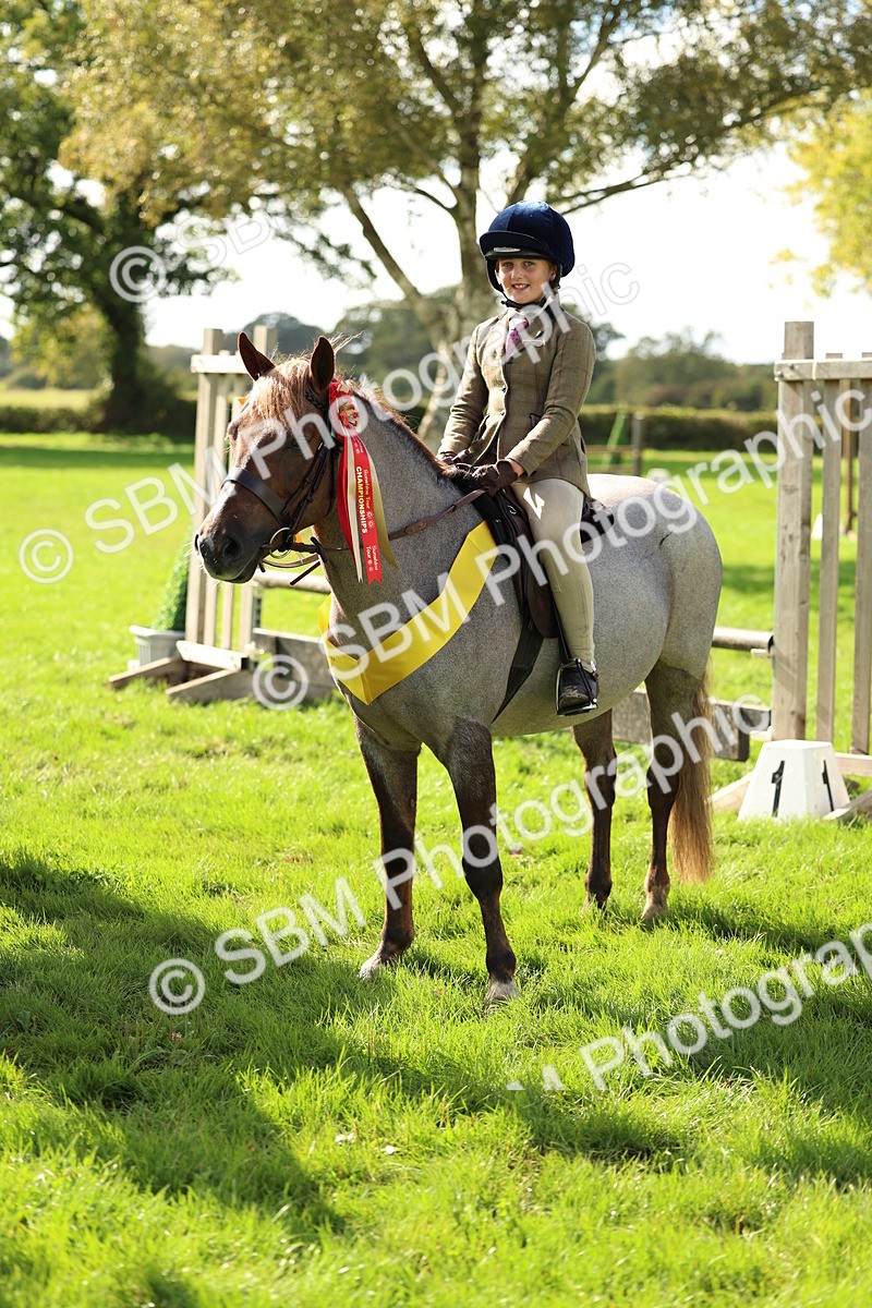 SBM_46413 - Working Hunter Pony Supreme Championship
