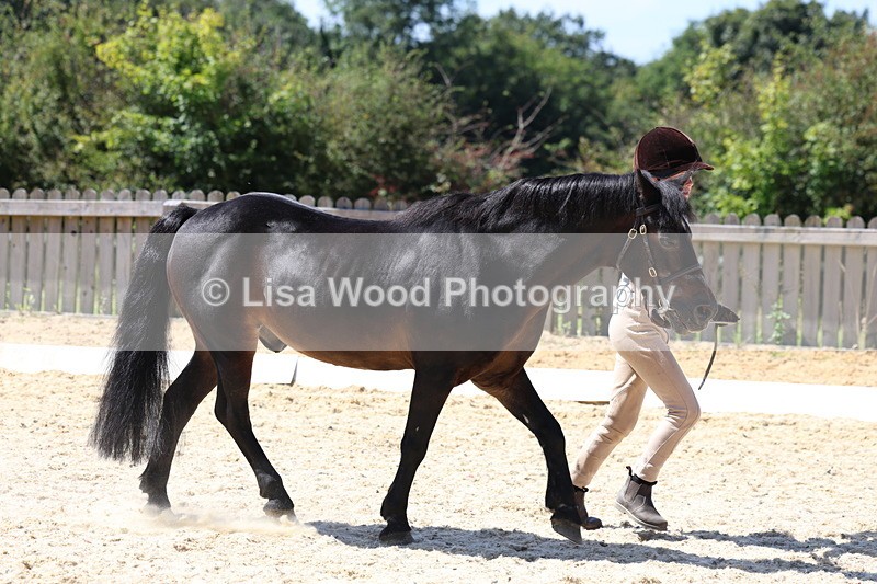 3E7A9394 - Class 29: Veteran In Hand