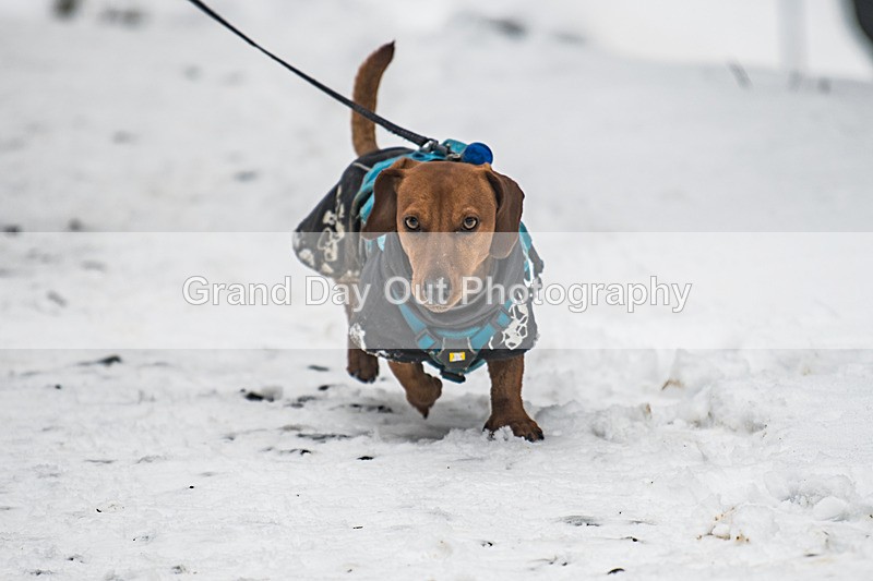 Glentress-739 - High Terrain Events Glentress 42, 21 & 10K Trail Races Sunday 15th February 2026