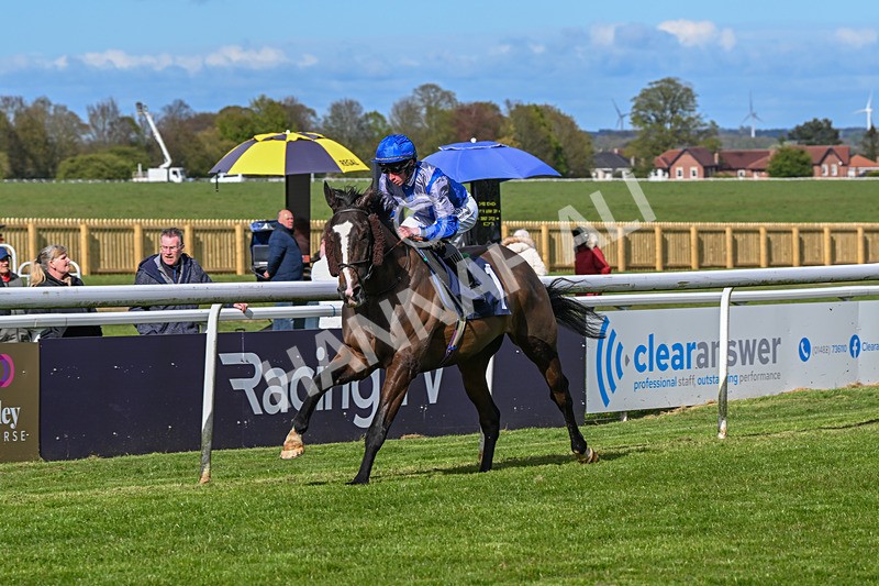 250424-Race 5-Arthurs Realm-1555 - Race 5