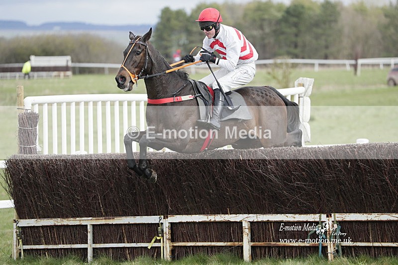 PtP 260323 0401 - New Forest Hounds Point-to-Point Larkhill 26/03/23