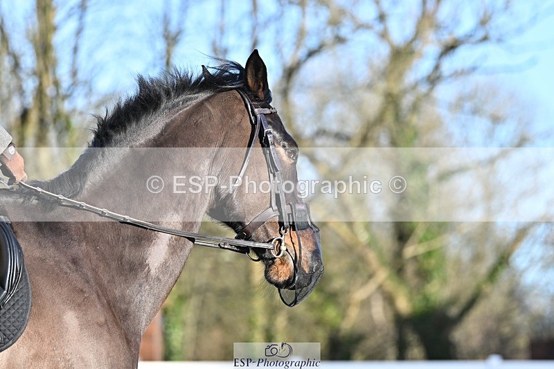 250125-094343-00095 - Dressage - CT Class 3 BE92