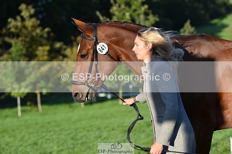 231022-090708-21574 - 641-SILVER.ROCK-Lucy.Boultbee-brooks-TrotUp+SJ