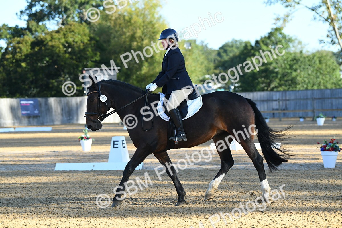 SBM_14385 - D4 - Small Tour Championship - Intro B