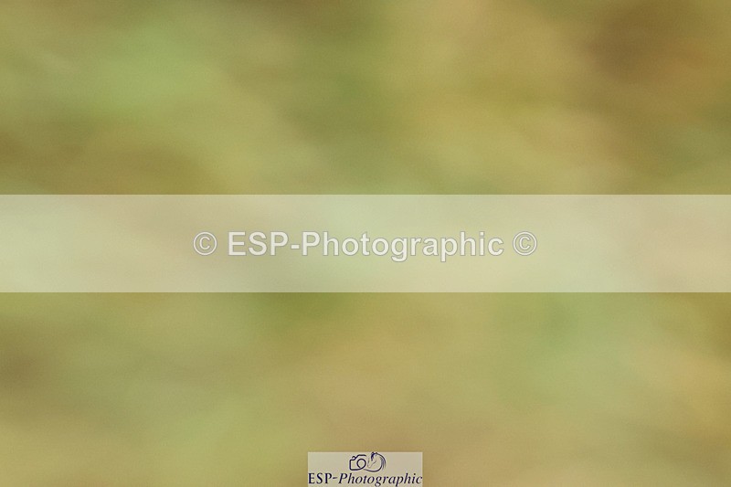 240824X-083946-21959 - D70 Section C and D 8.30 to 9.30