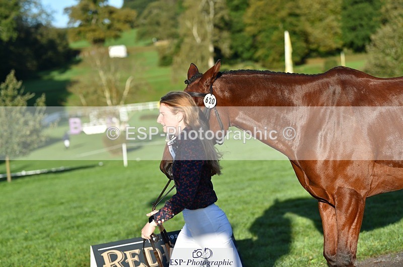 231022-091710-21672 - 620-PENOLVA.HIGH.HOPES-Elizabeth.Payne-TrotUp+SJ