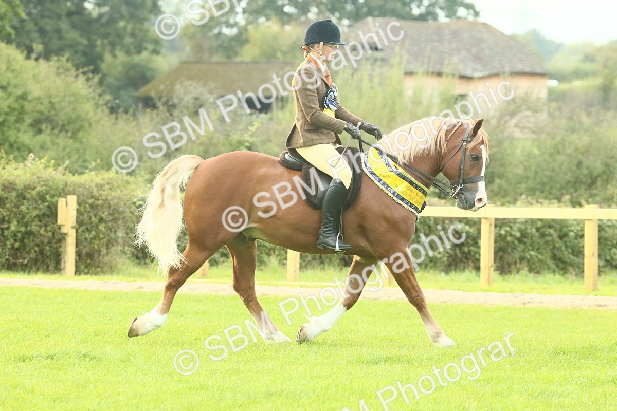 SBM_75343 - Super Supreme Championship