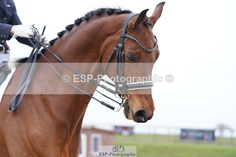 250403-161724-03276 - 028-Elizabeth.Allen-Heraldik