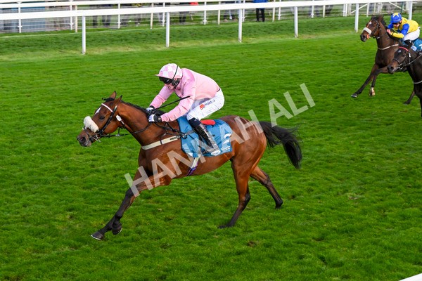 111024-Race 7-On The River-2250 - Race 7 4.55pm Ire Incentive, It Pays To Buy Irish Apprentice Handicap