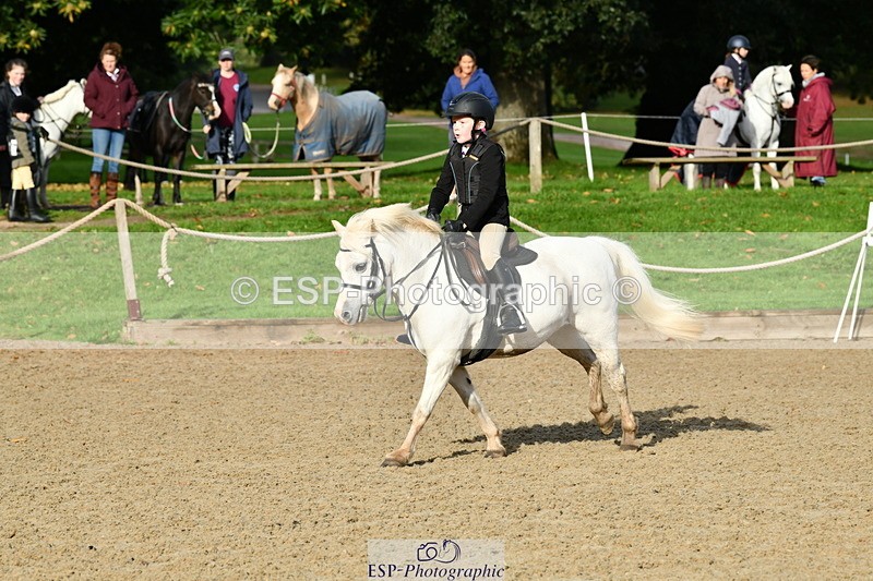 251004A-094918-00256 - Classes 1-2-3 40cm