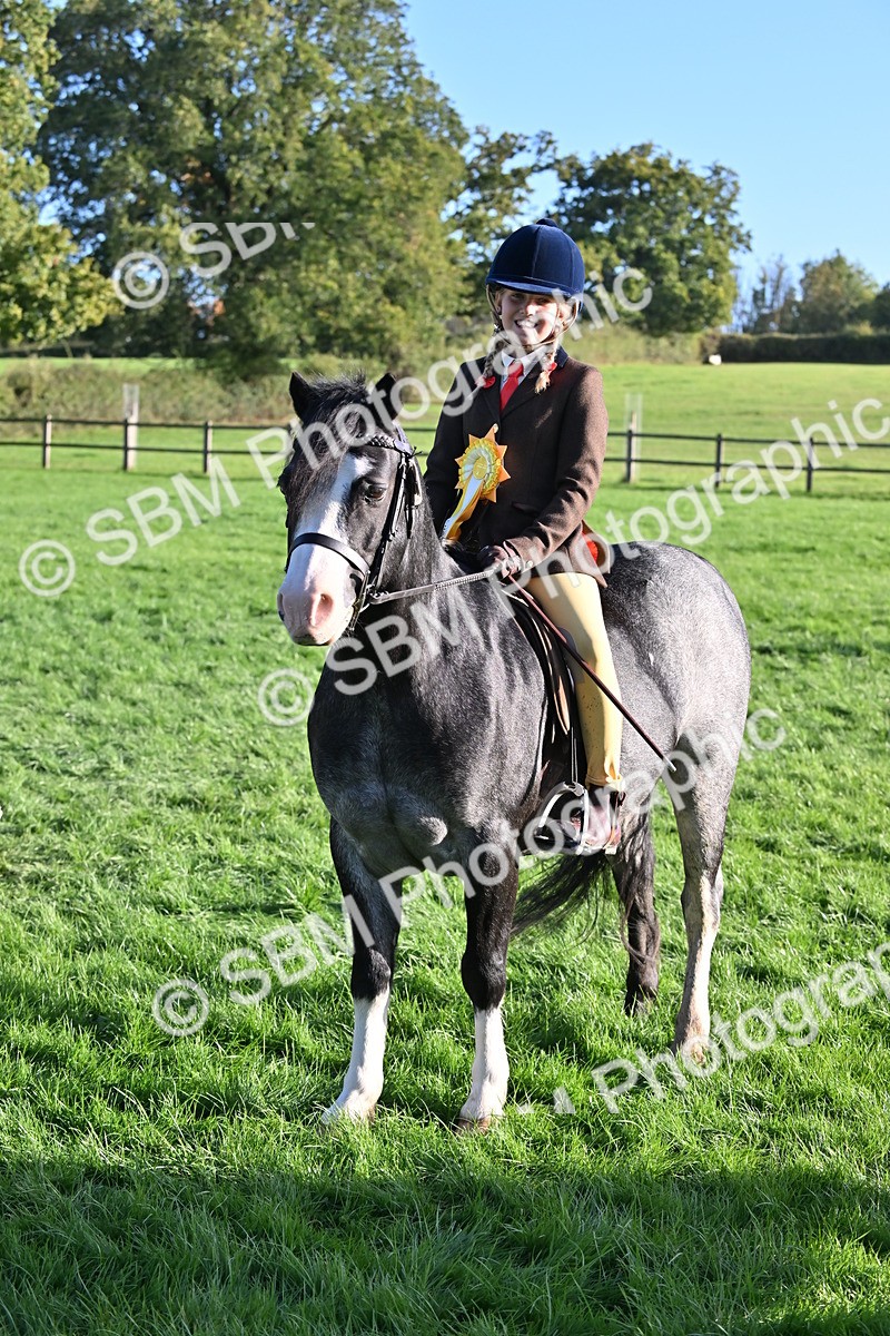 SBM_53081 - S23 - First Ridden Mountain & Moorland Pony