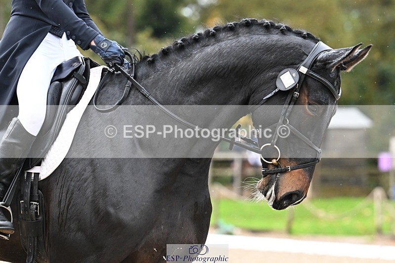 251023A-122612-02236 - B-145-Sarah.Yeaman