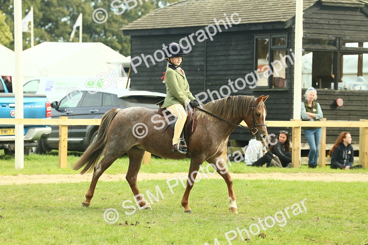 SBM_69778 - S59 - Mountain & Moorland Ridden Small Breeds