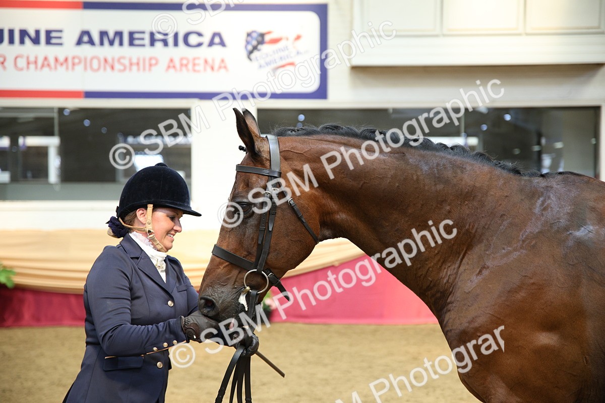 SBM_23389 - Class 904 - Supreme Final Ridden Diamond