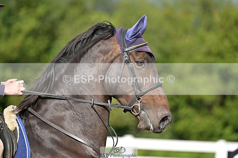 240912A-100624-00901 - Cls 8 Snr British Novice and 90cm Open