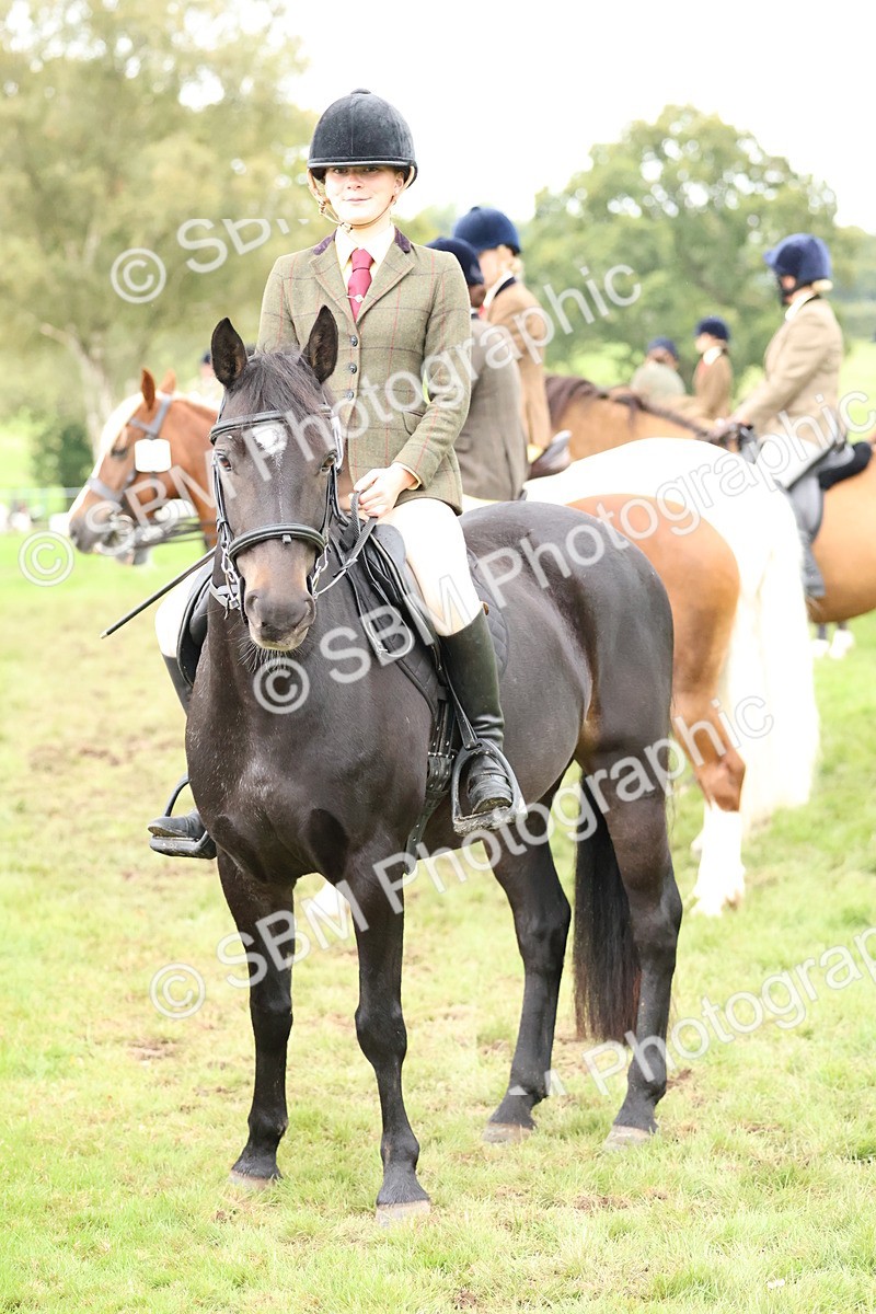 SBM_69657 - S62 - Mountain & Moorland Ridden Large Breeds