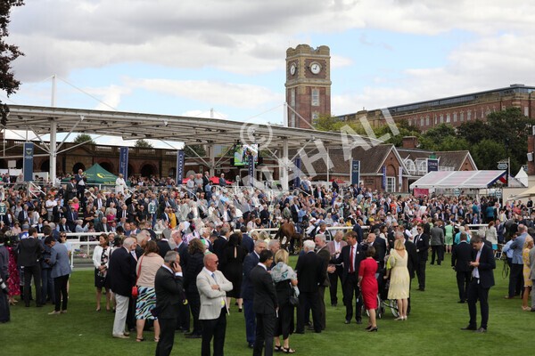 yr19082022r4-16 - Race 4 3.35pm Coolmore Wootton Bassett Nunthorpe Stakes (British Champion Series Race)