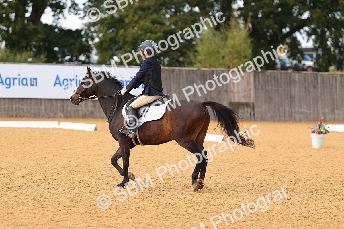SBM_44195 - D22 - Junior Championship - Intro B