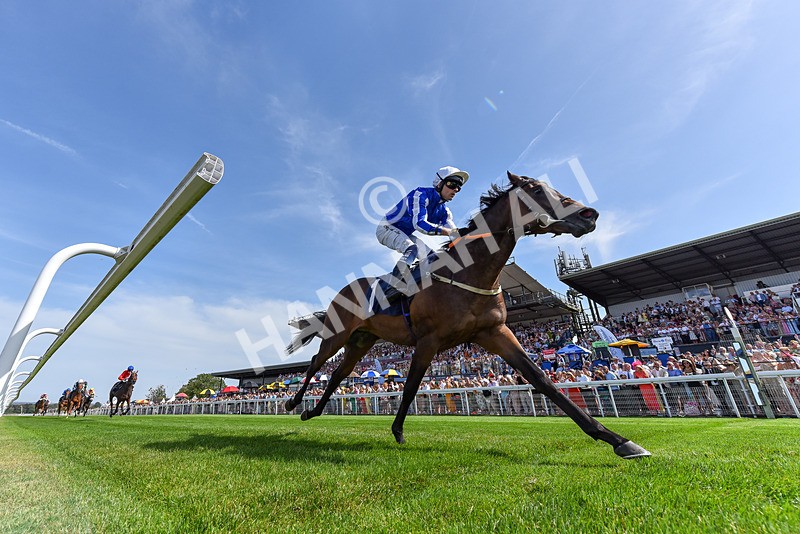 130825-Race 3-Hes Waliim-2-2 - Race 3