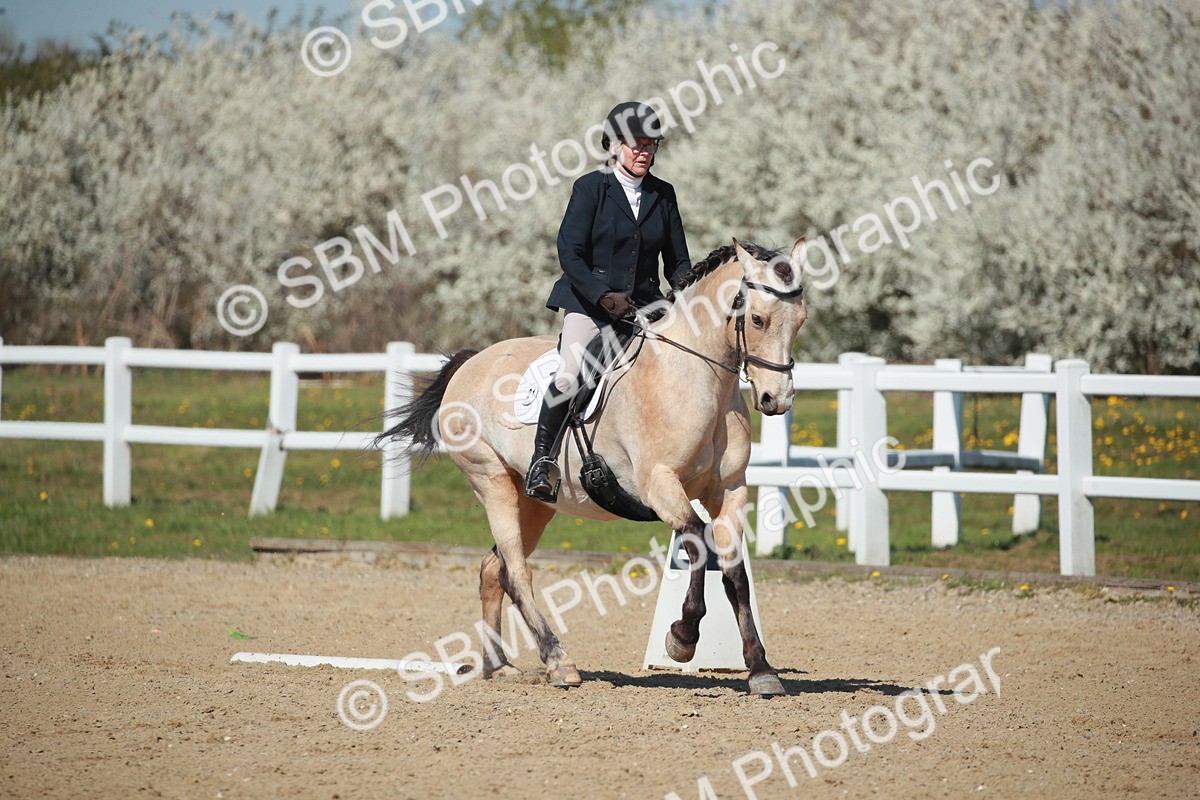 SJ3_1008 - Class 8 - E5