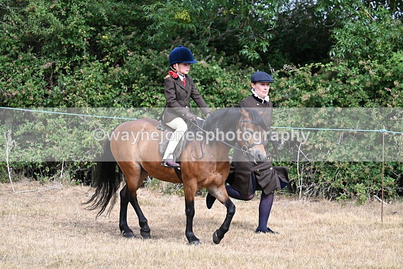 WJ7_6529 - Class 1 Lead Rein Pony