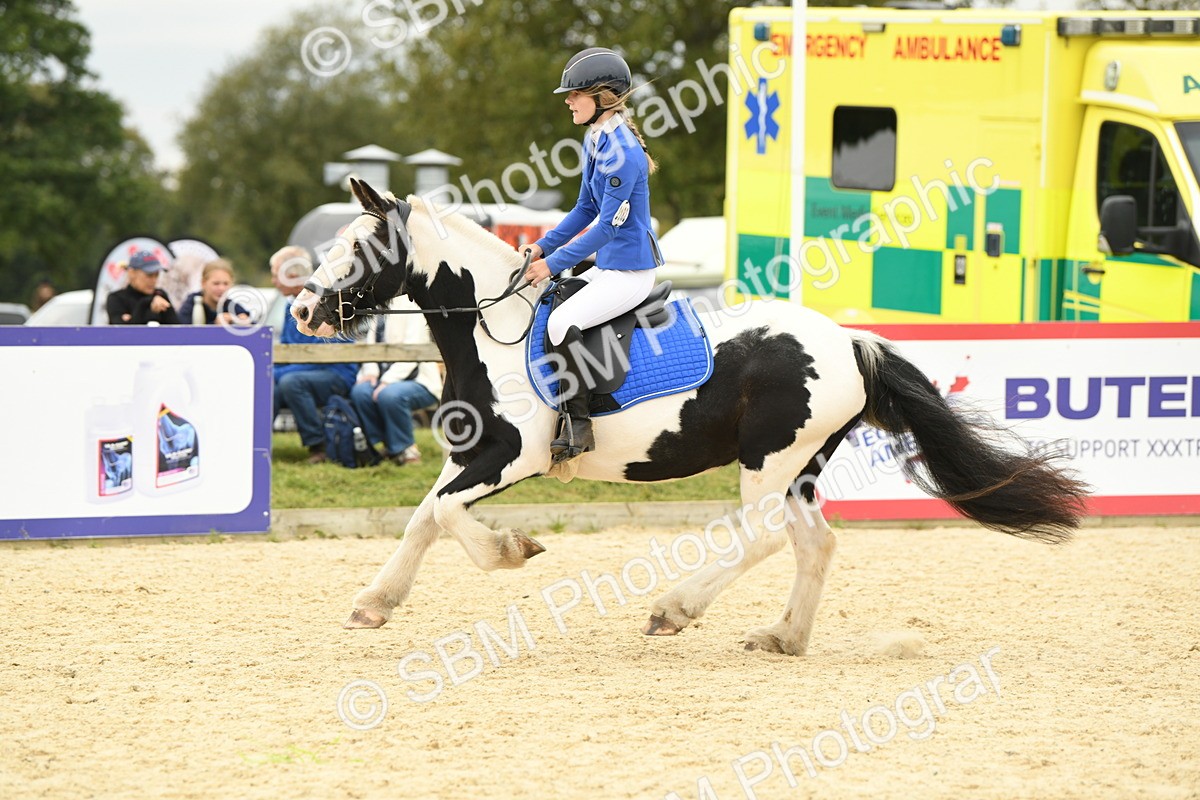 SBM_73043 - J16 - Junior Pony 75cm Championship