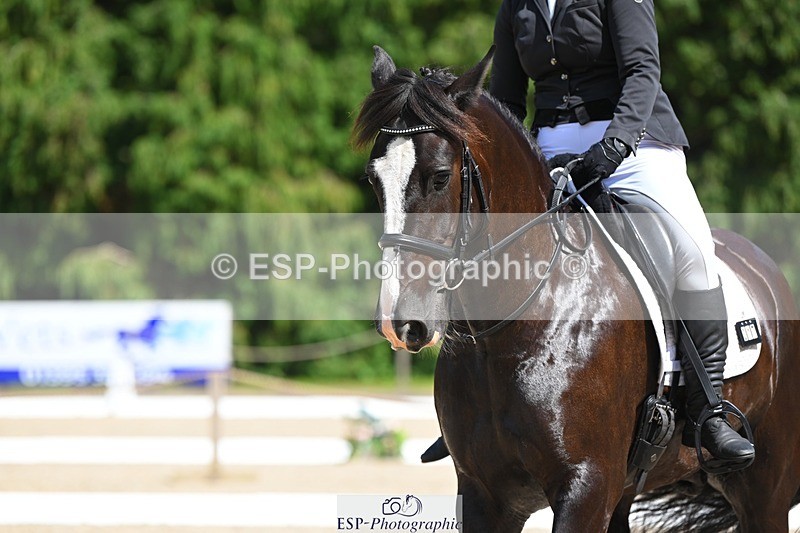 230811-145240-02143 - Cls 2 Prelim Silver 14.45 to End
