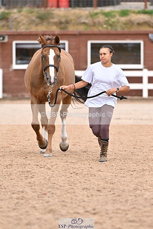 250716-162538-02628 - Trot Up 3.30 to 4.30