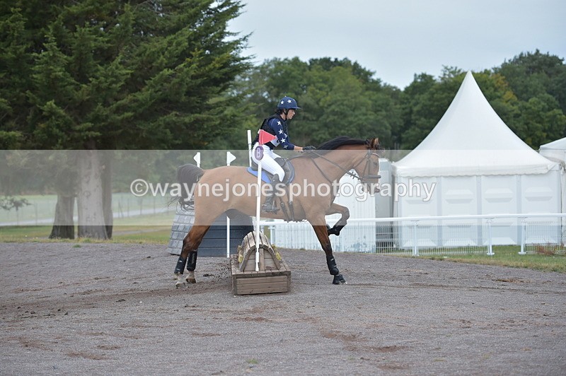 NGP_2531 - XC Time 11:37 to 11:57