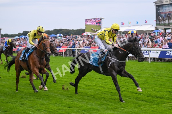 080925-Race 1-Proud Nation-7181 - Race 1 2.30pm Enter ITV7 For Free Confined EBF Maiden Stakes