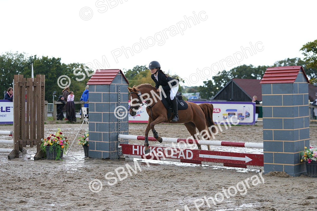 SBM_40002 - J6 - Junior Pony 55cm Championship