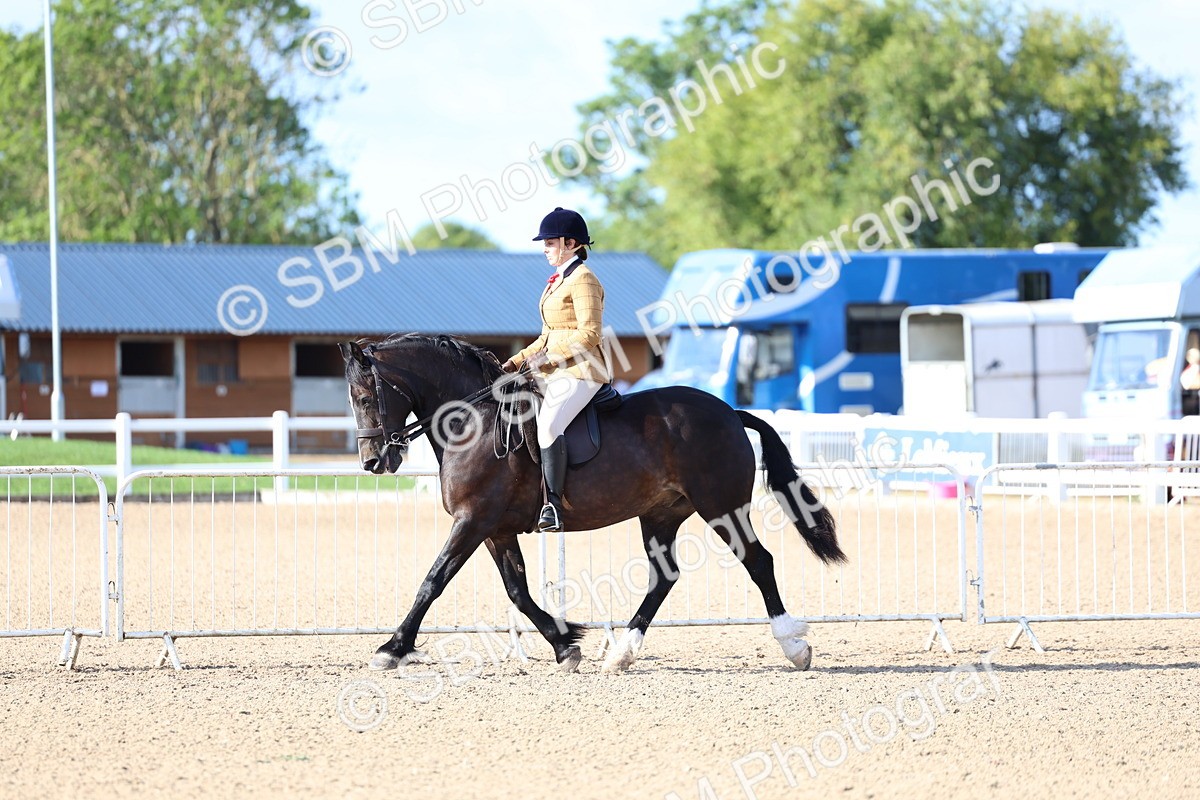 SBM_08907 - Class 302 - Ridden M&M - Large Breeds