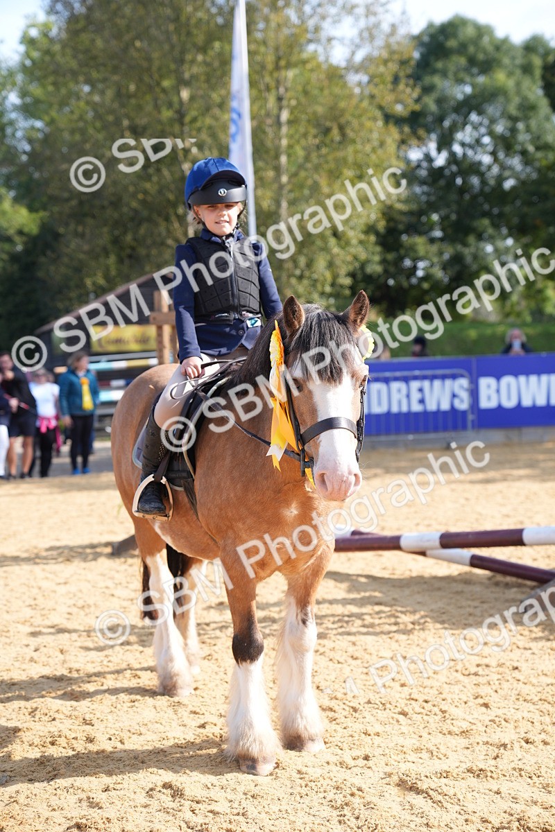 SBM_61500 - J1 - Mini Tour Junior Pony Lead Rein 30cm Championship