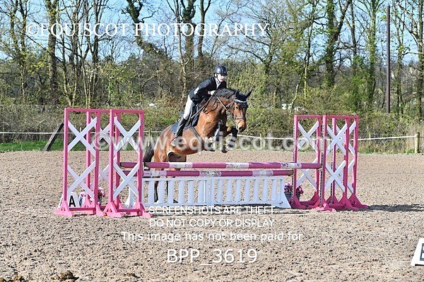 BPP_3619 - CLASS 1 FRI Club/ Unaffiliated 80cms Open